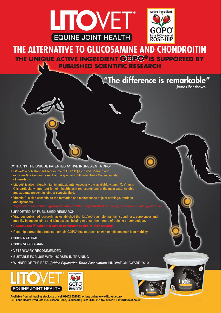 European Trainer Magazine - horse racing Preview Pages