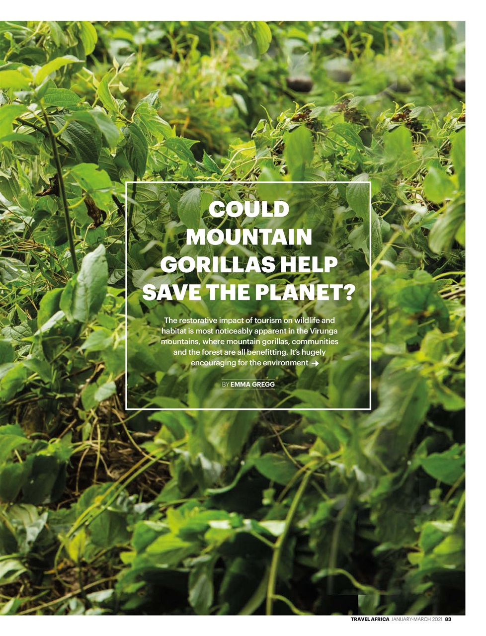 Travel Africa Preview Pages