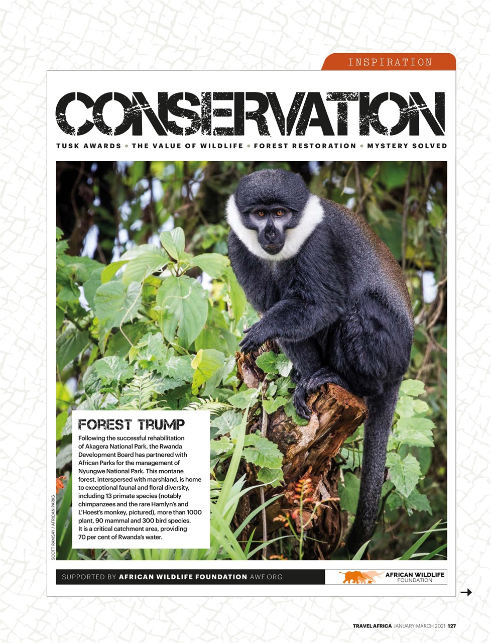Travel Africa Preview Pages