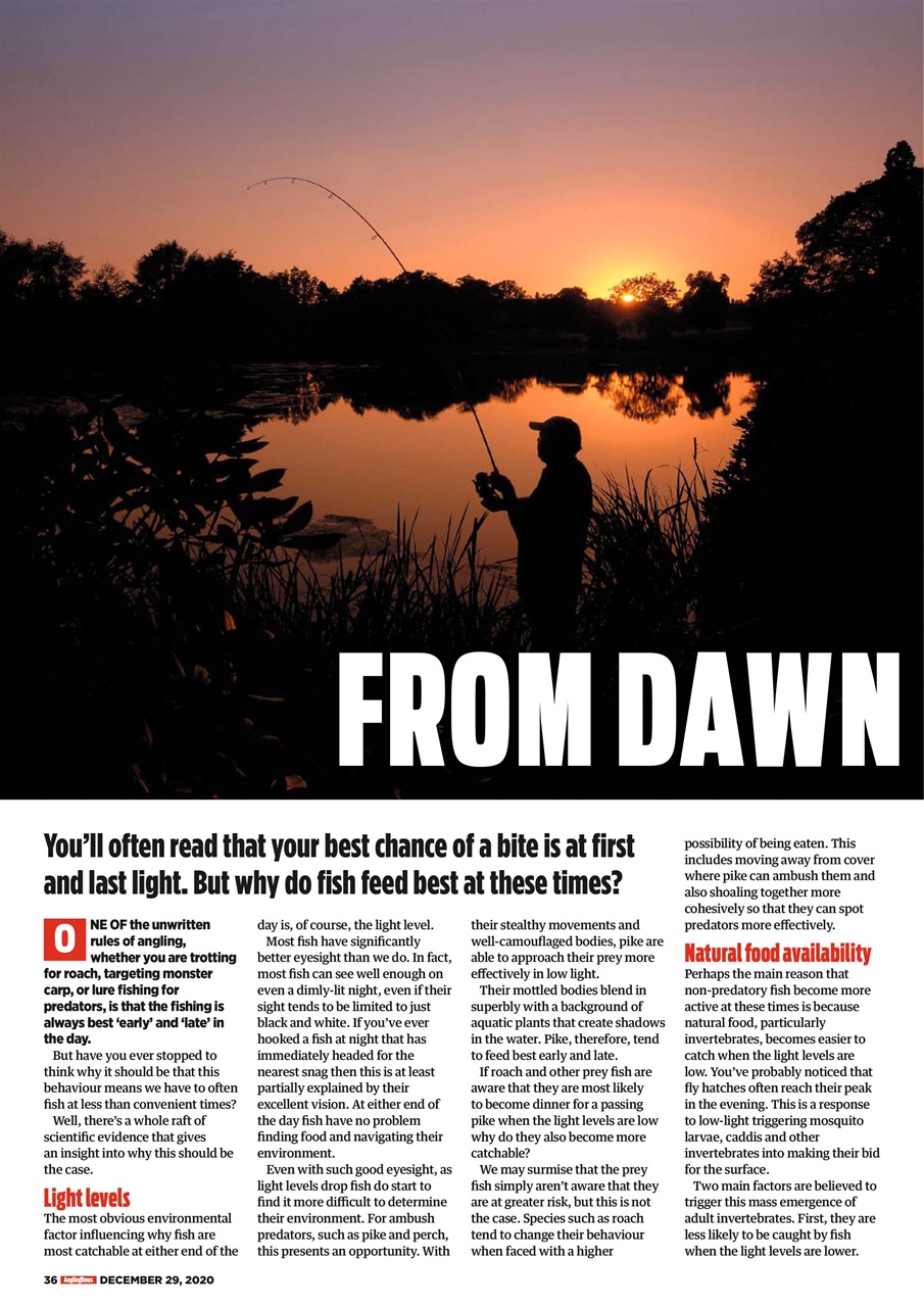 Angling Times Preview Pages