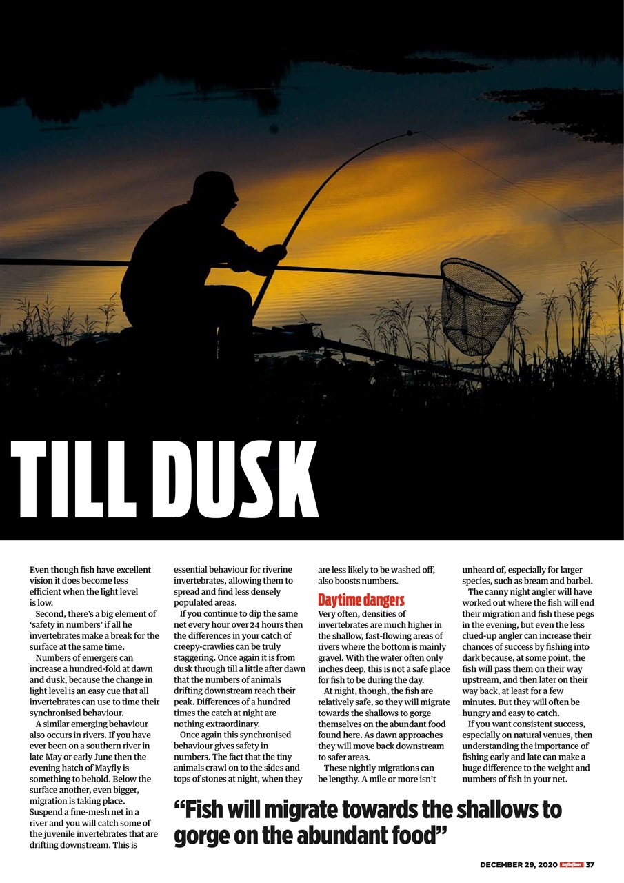 Angling Times Preview Pages