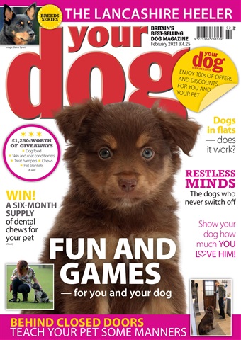 Your Dog issue Your Dog Magazine February 2021