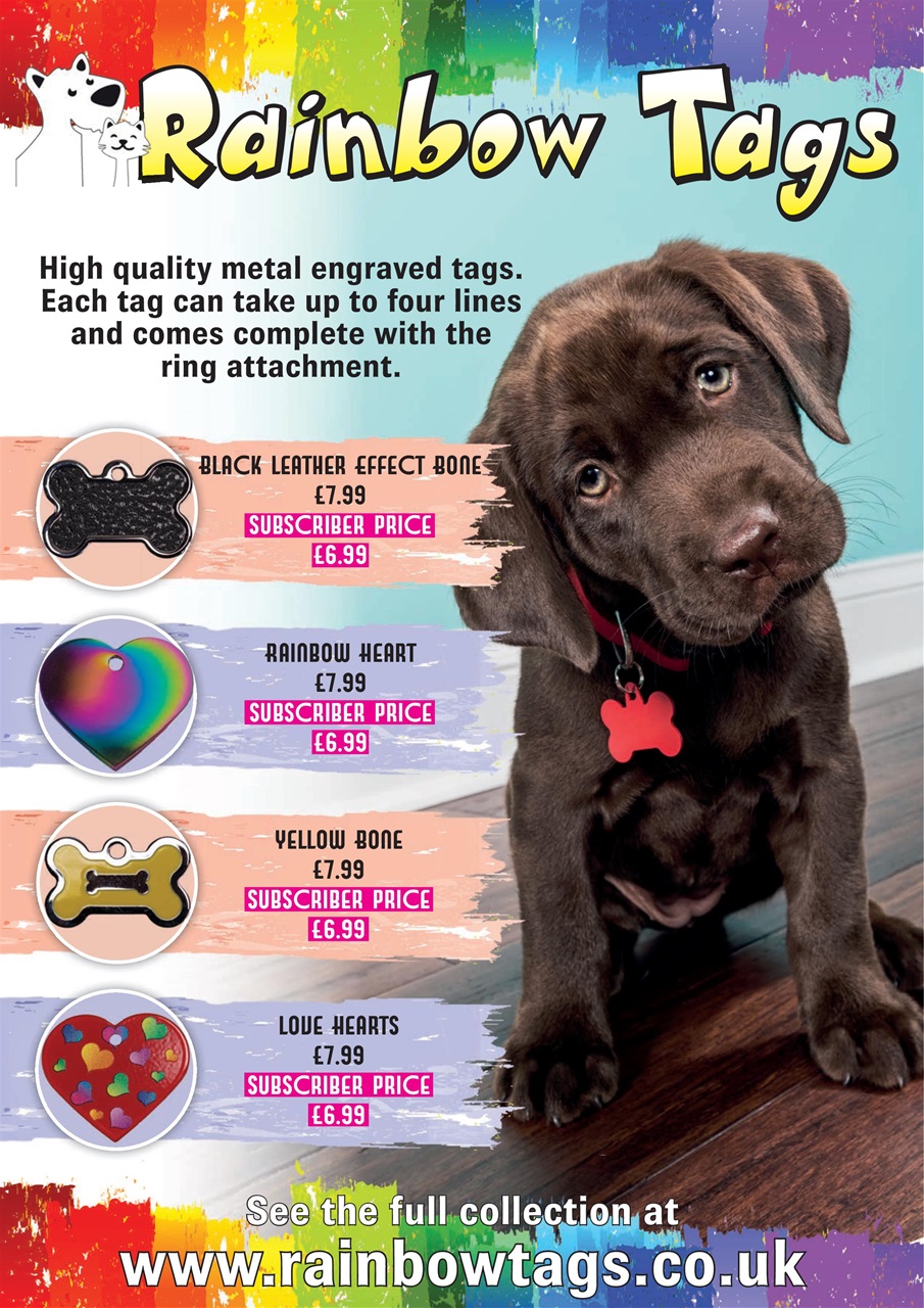 Your Dog Preview Pages