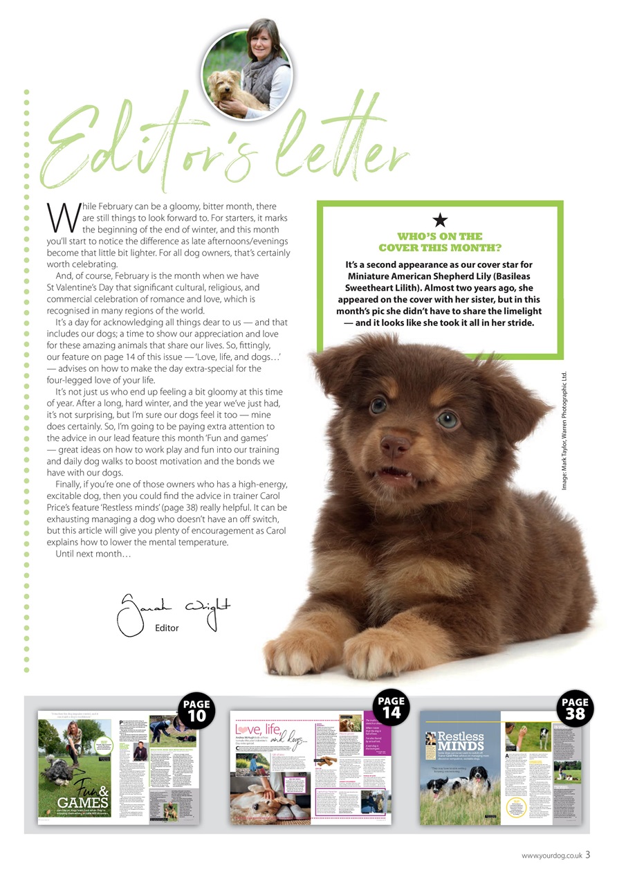 Your Dog Preview Pages