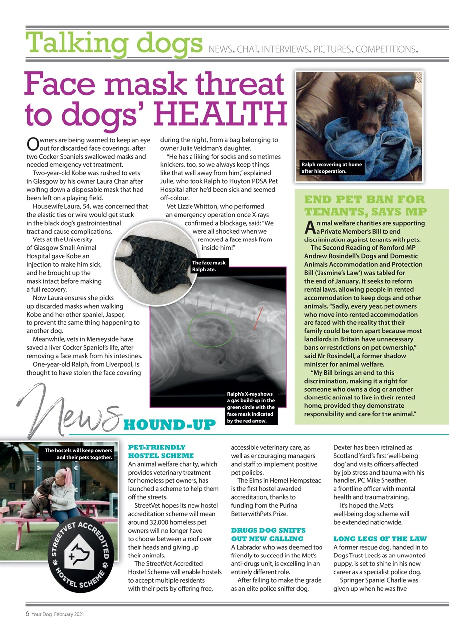 Your Dog Preview Pages