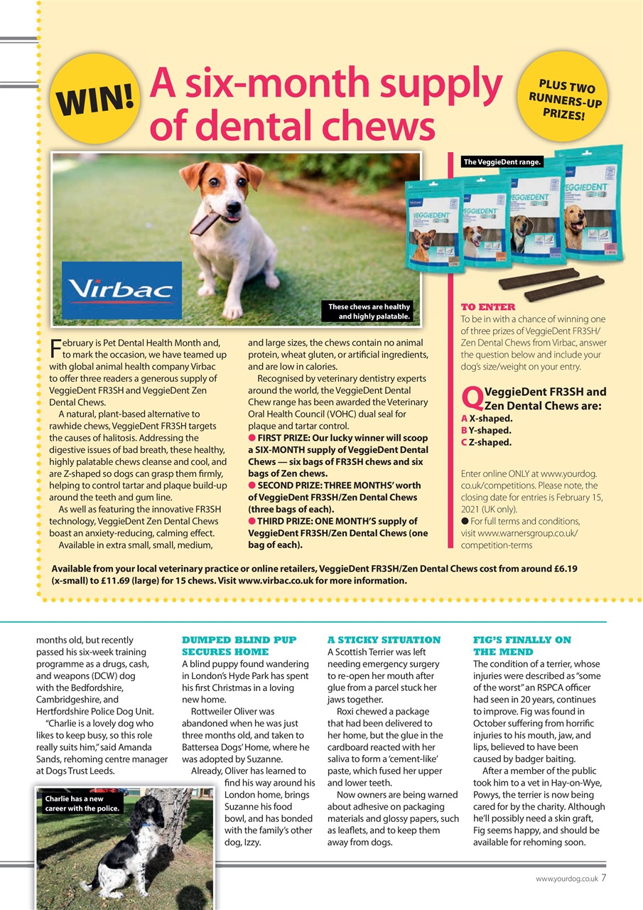 Your Dog Preview Pages