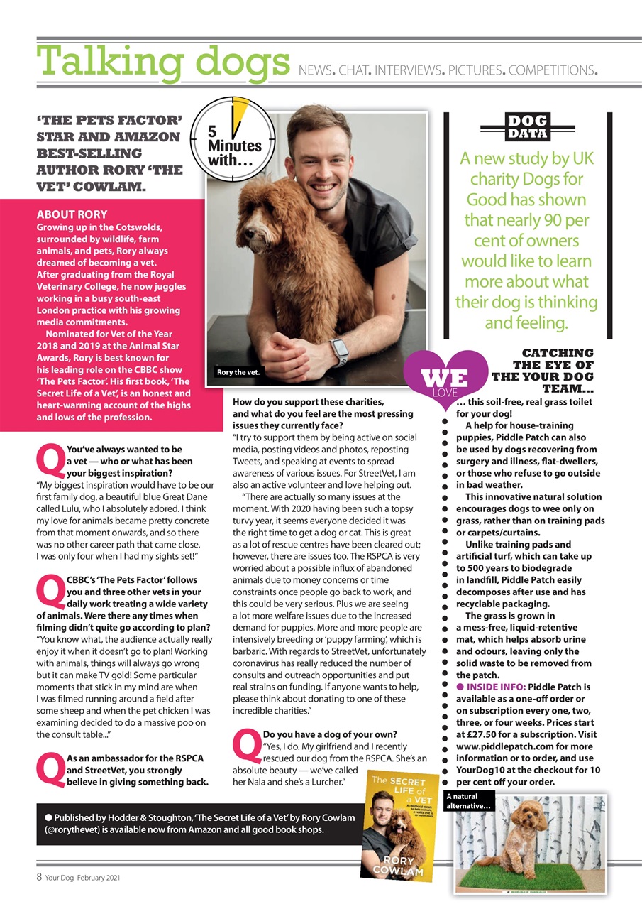 Your Dog Preview Pages