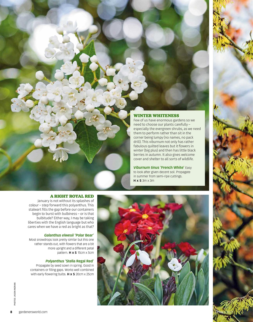 BBC Gardeners’ World Magazine Preview Pages