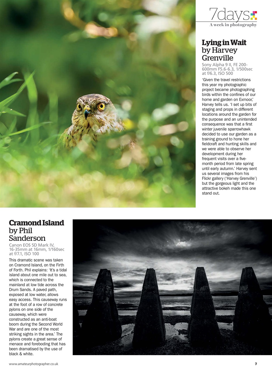 Amateur Photographer Preview Pages