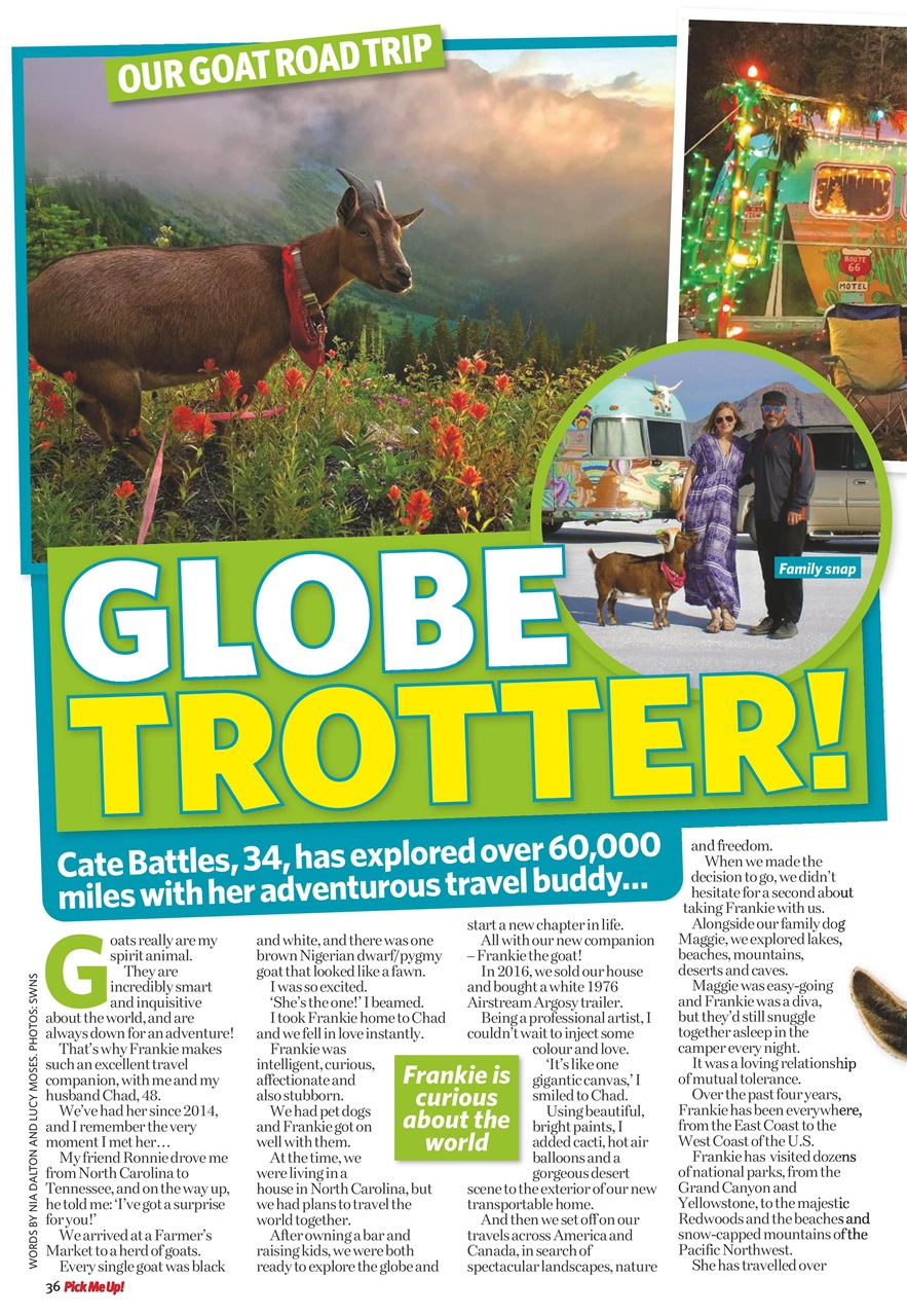 Pick Me Up Preview Pages