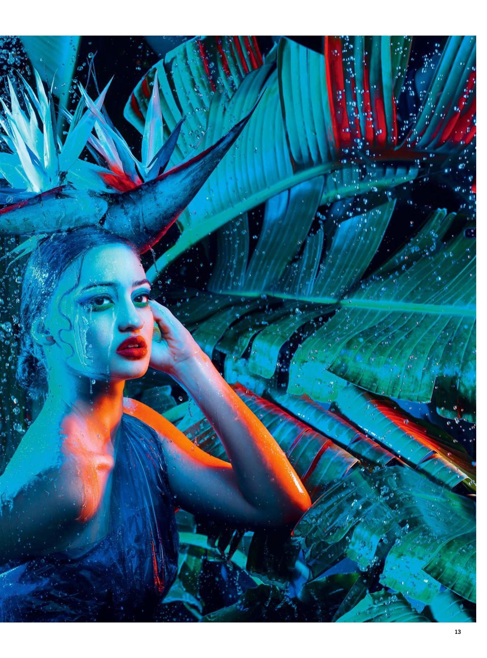 Digital Photographer Preview Pages