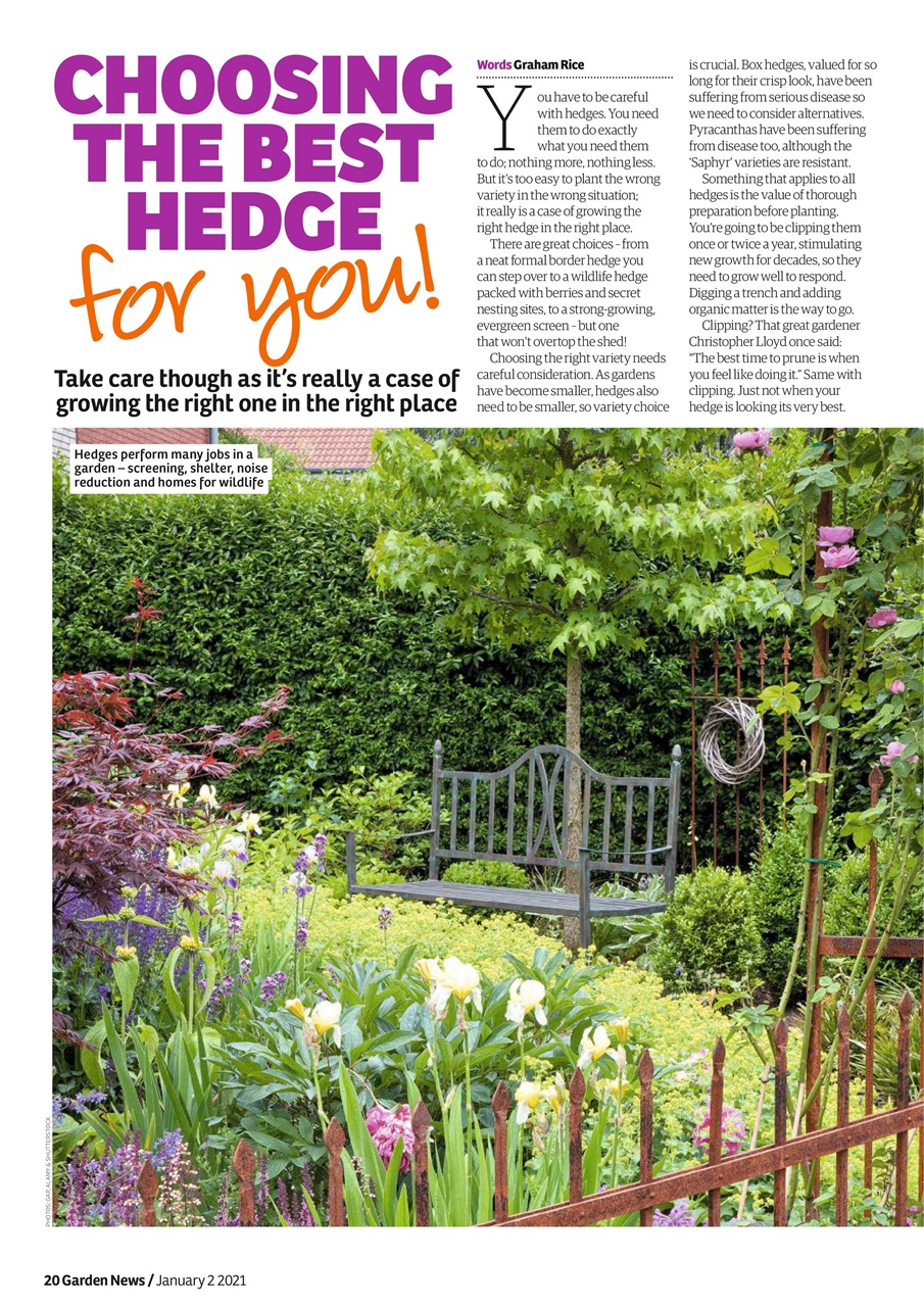 Garden News Preview Pages