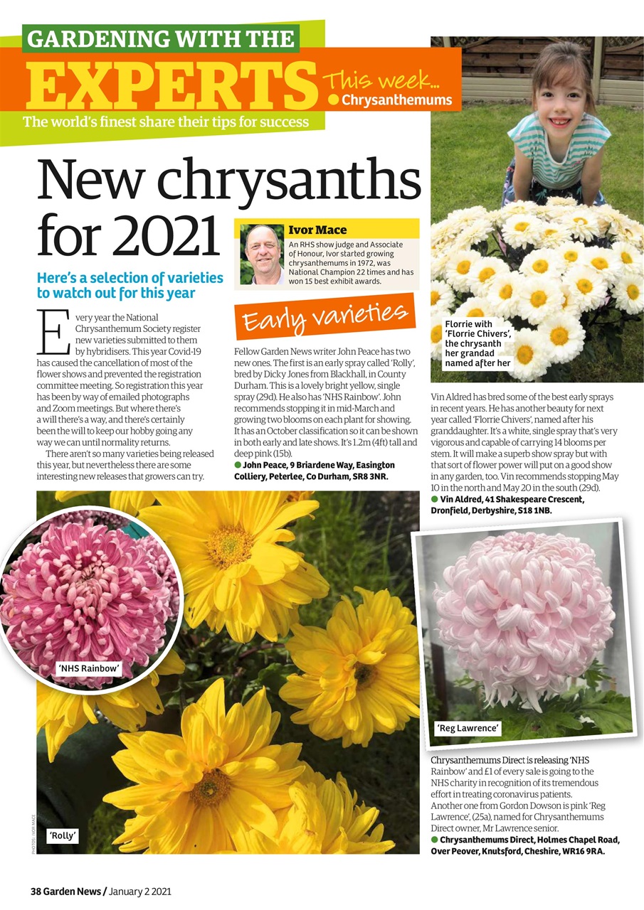 Garden News Preview Pages