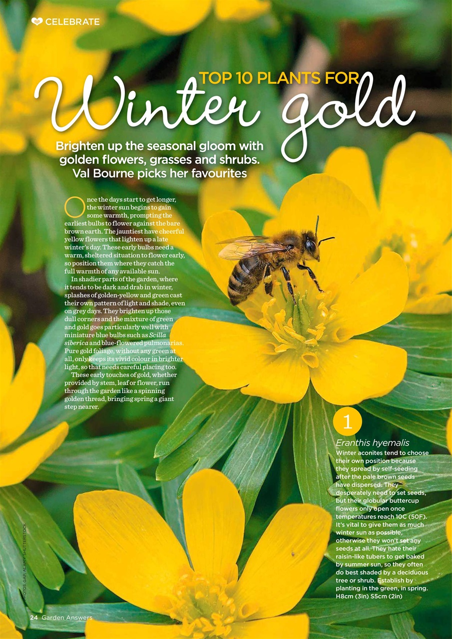 Garden Answers Preview Pages