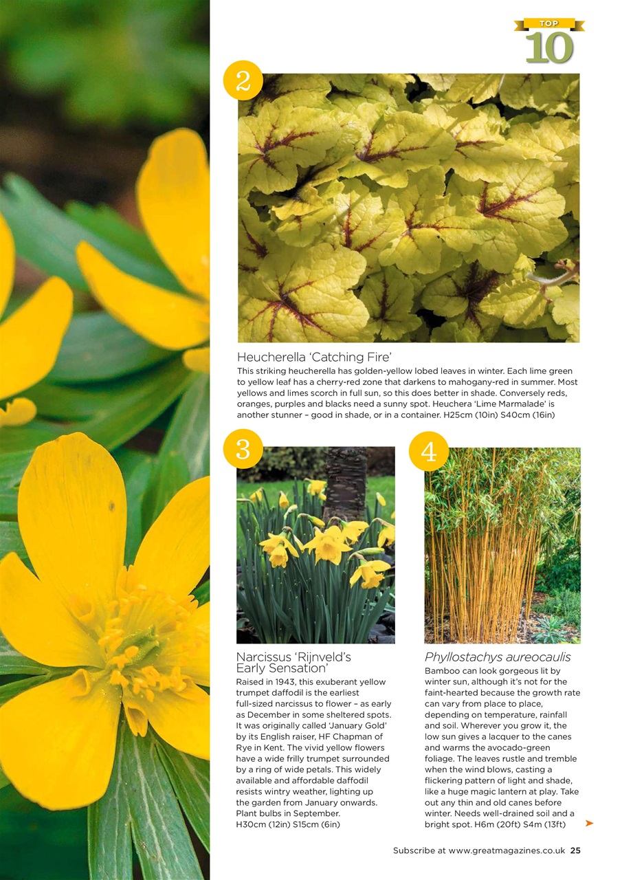Garden Answers Preview Pages