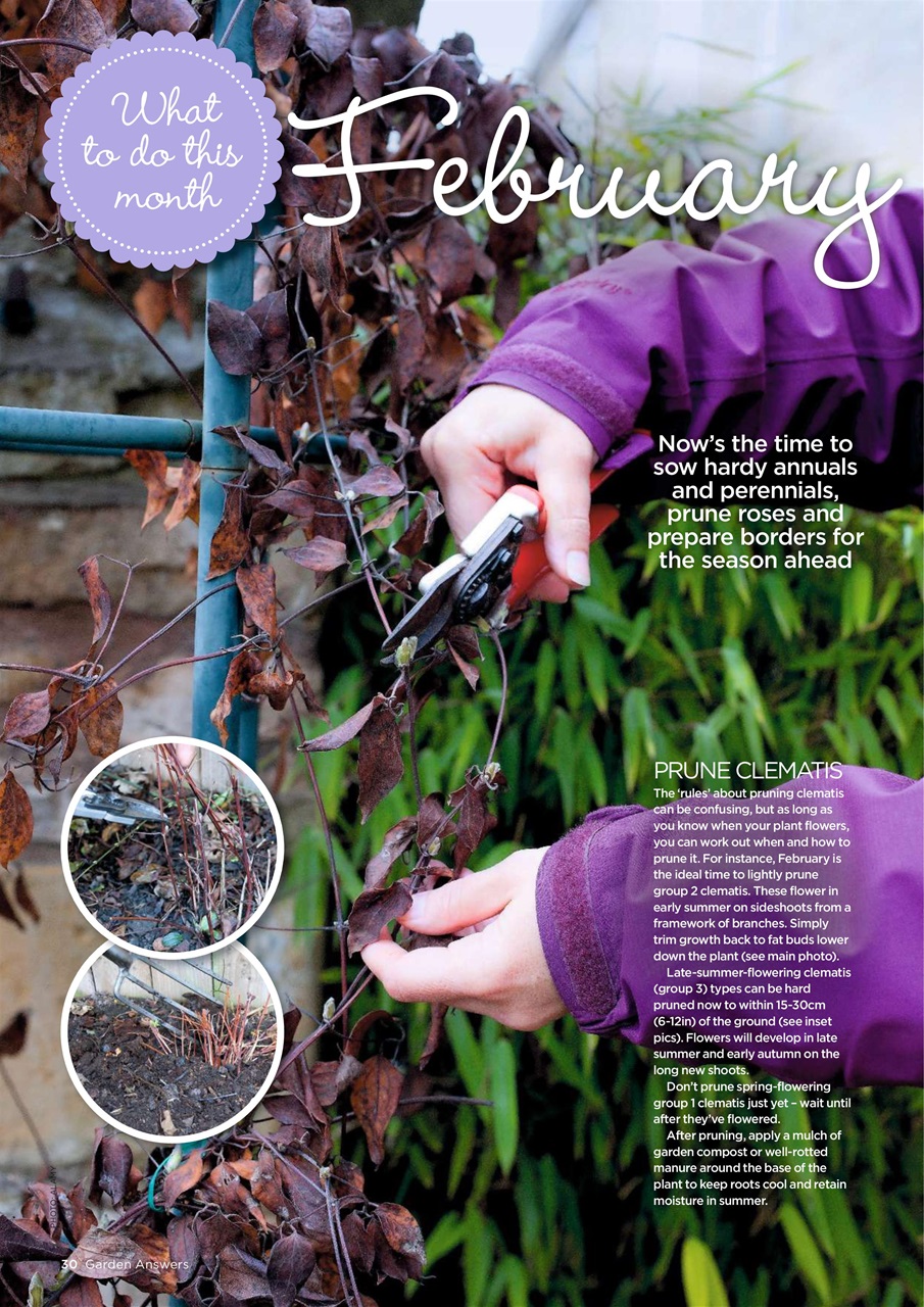 Garden Answers Preview Pages