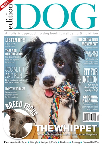 Edition Dog issue 