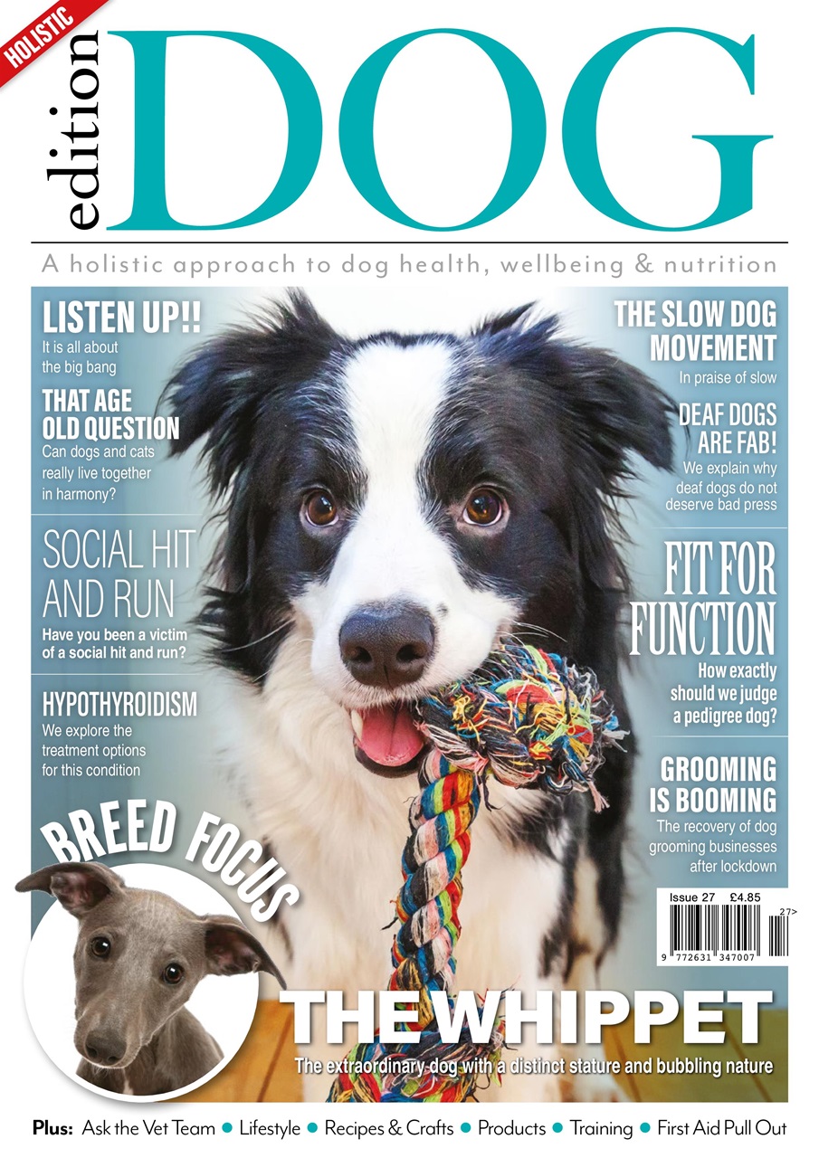 Edition Dog Preview Pages