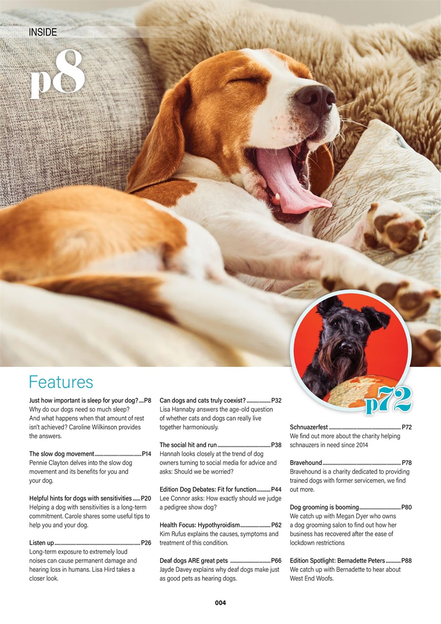 Edition Dog Preview Pages