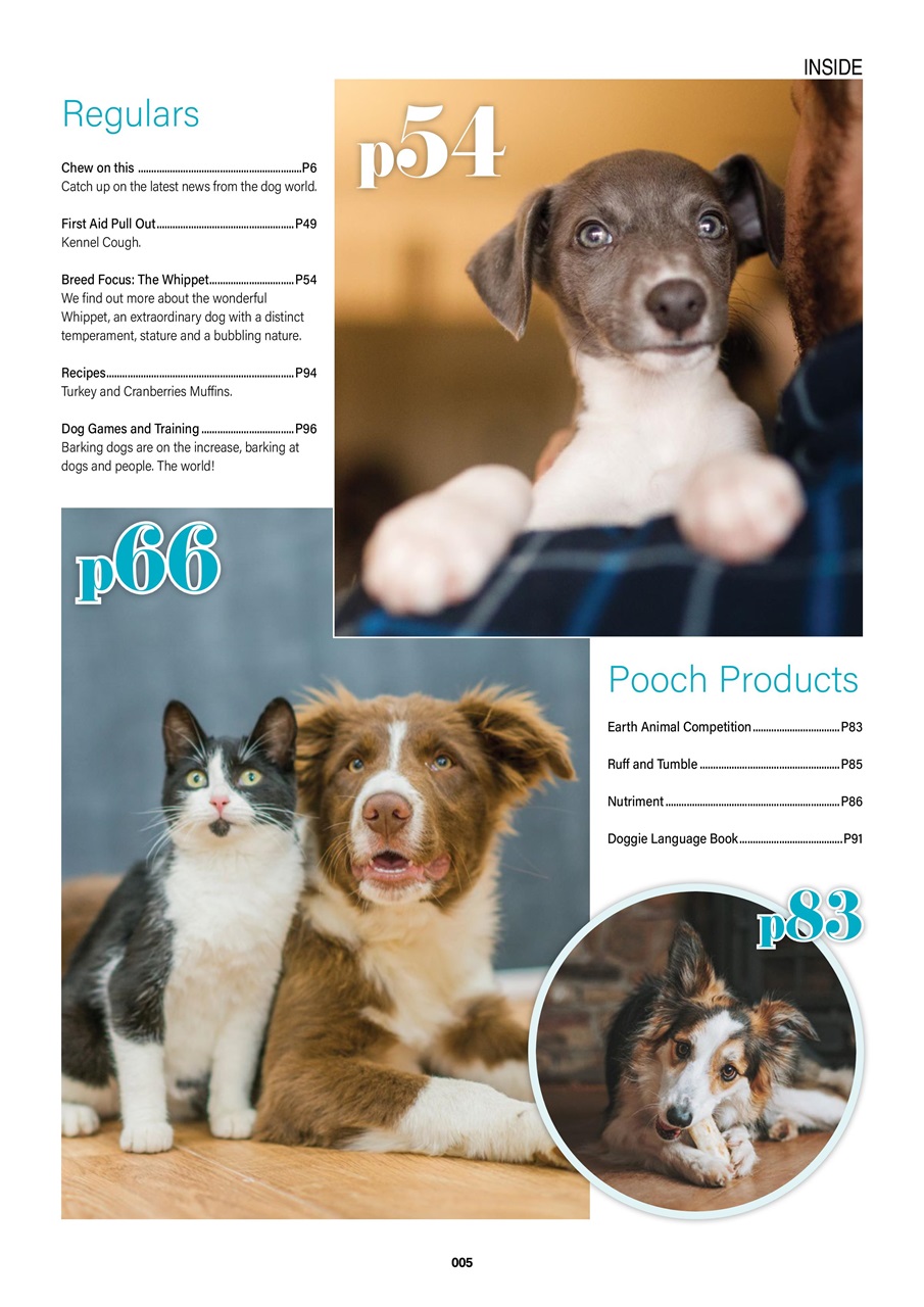 Edition Dog Preview Pages