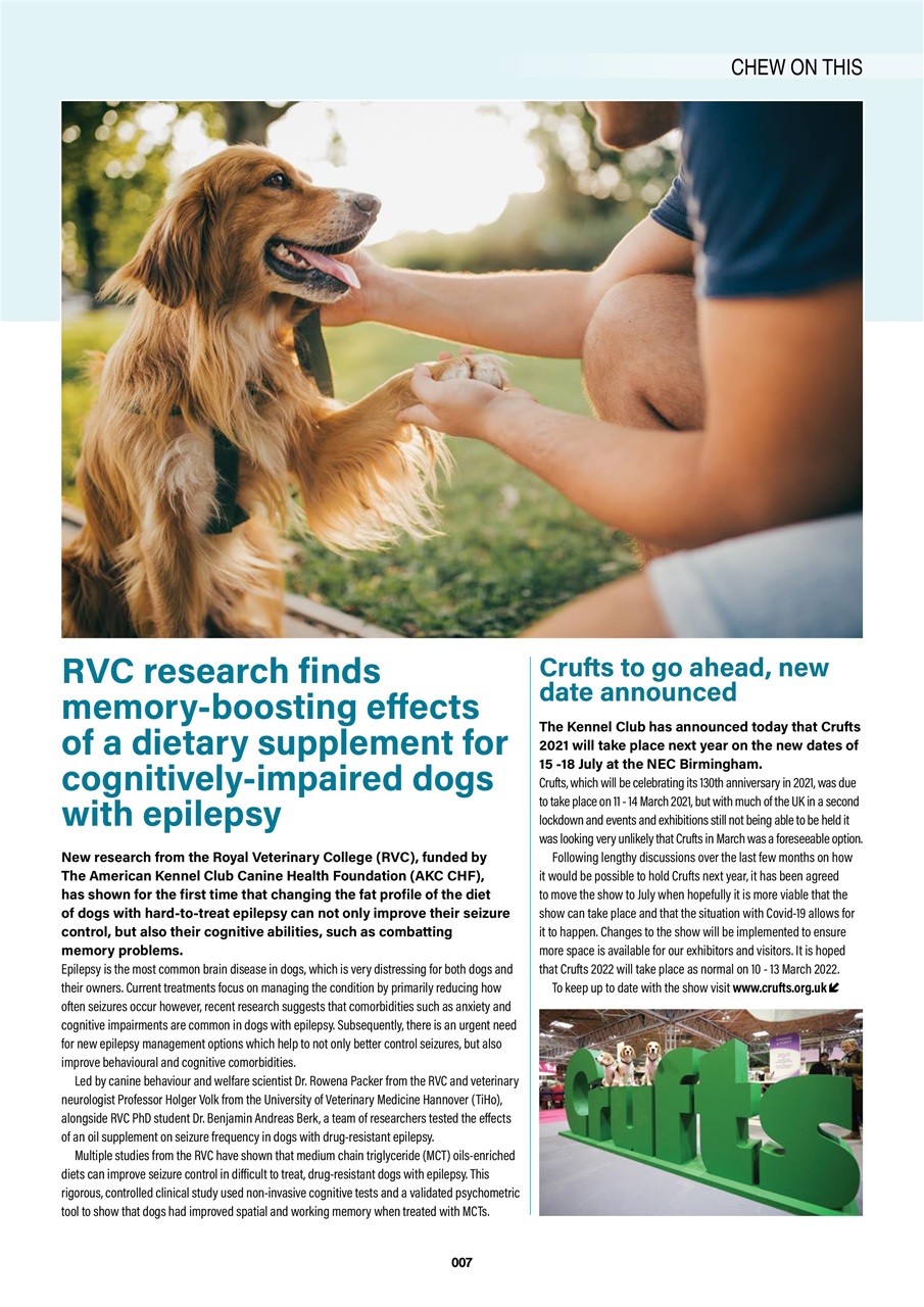 Edition Dog Preview Pages
