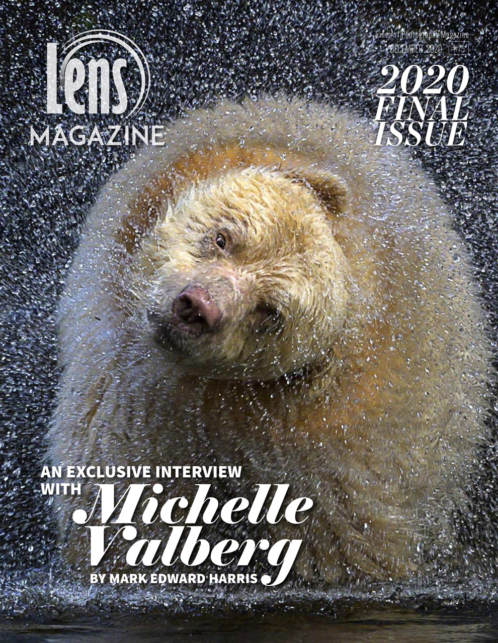 Lens Magazine Preview Pages