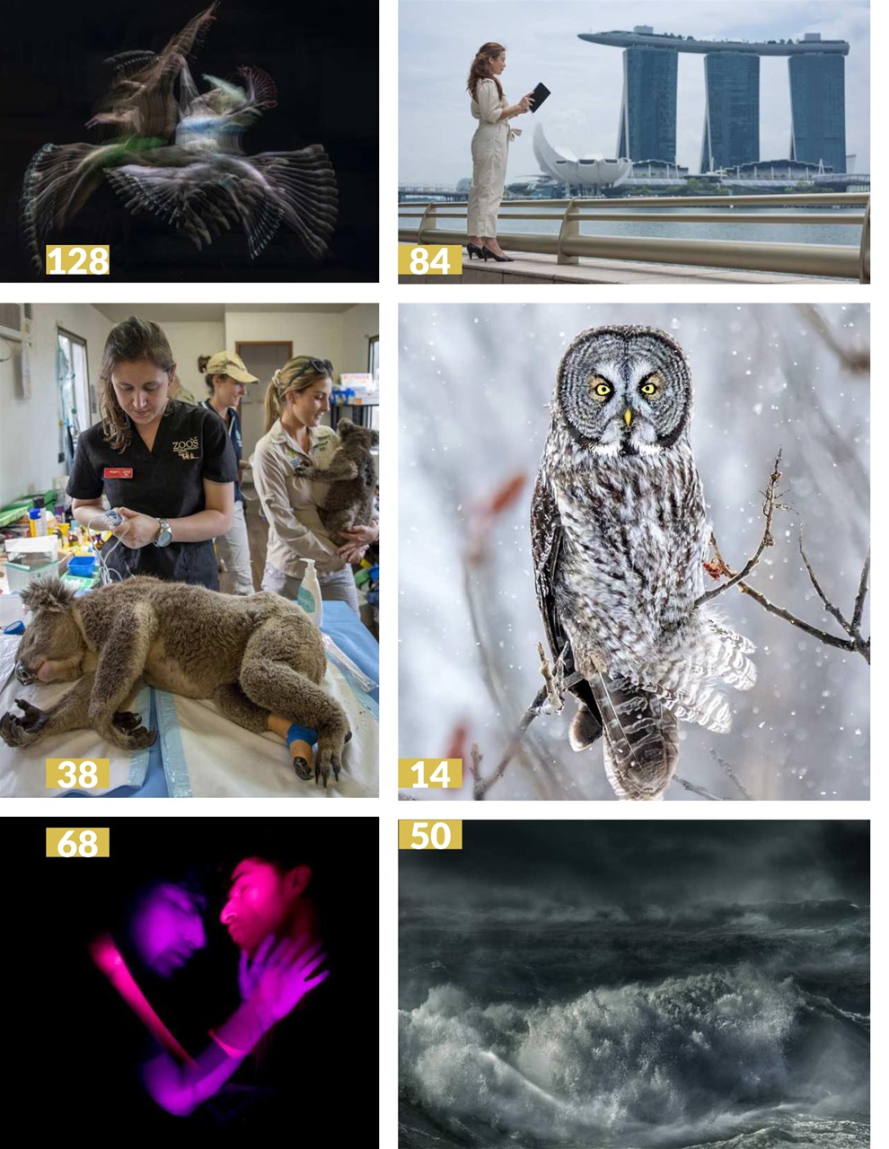 Lens Magazine Preview Pages