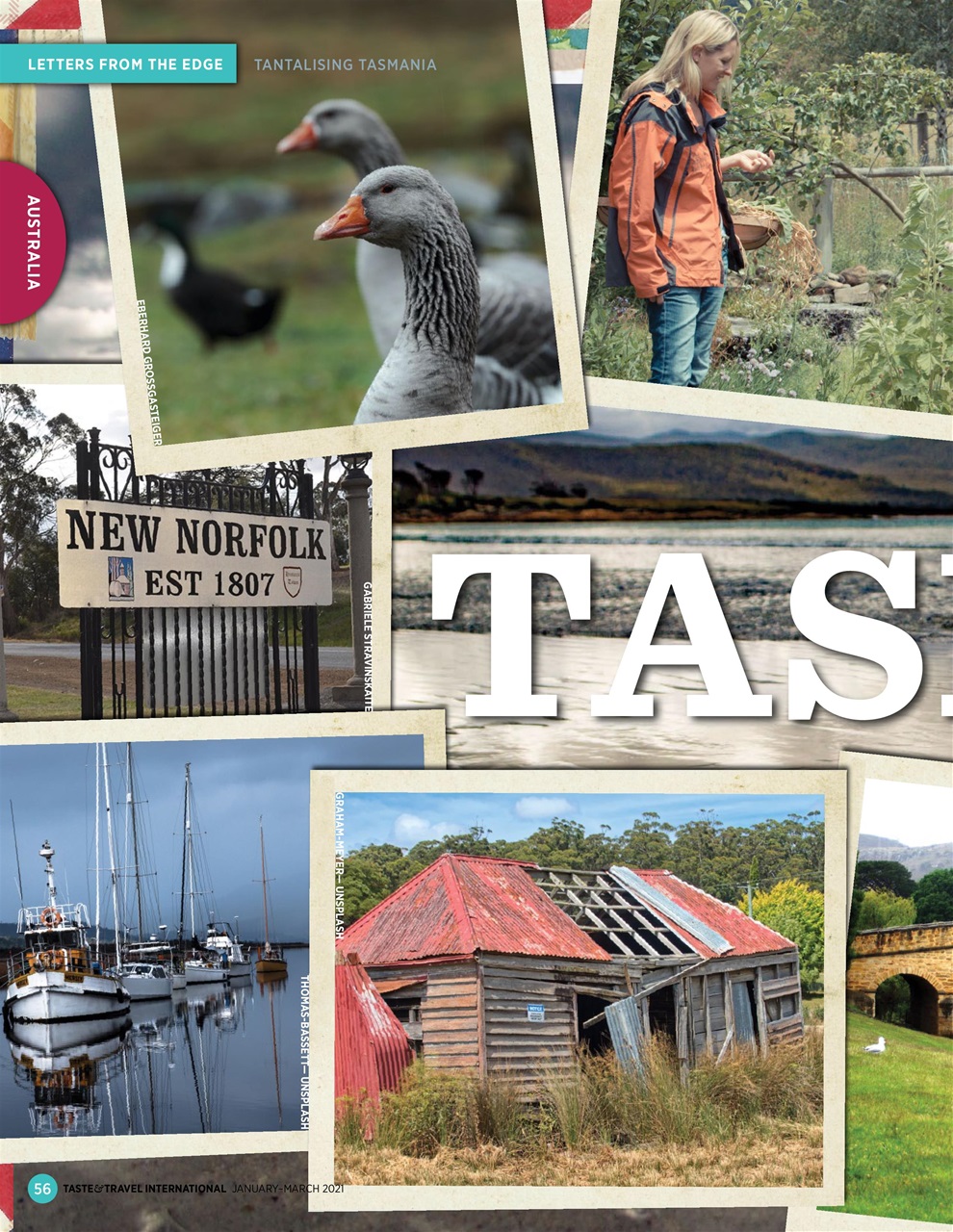 Taste & Travel International Preview Pages