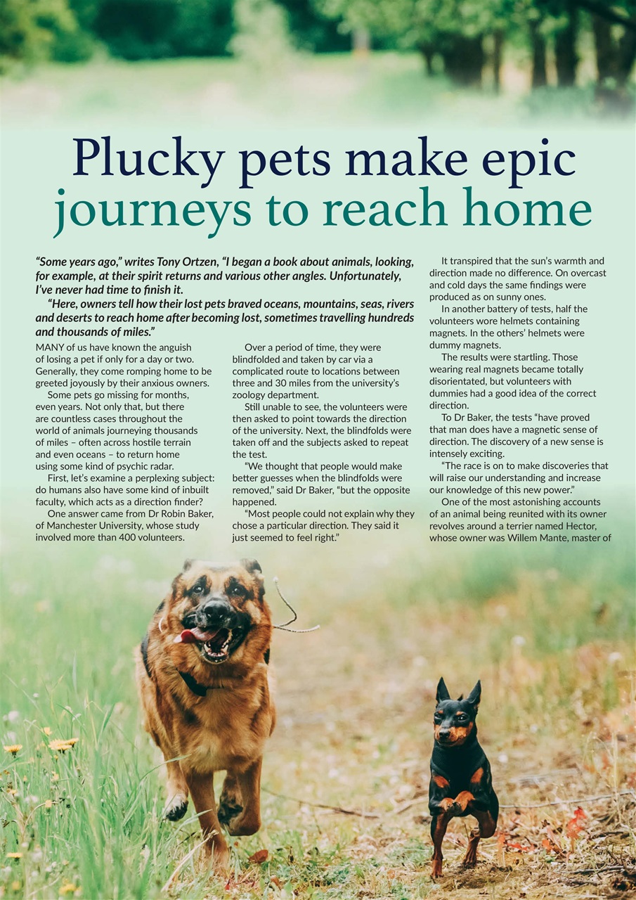 Psychic News Preview Pages