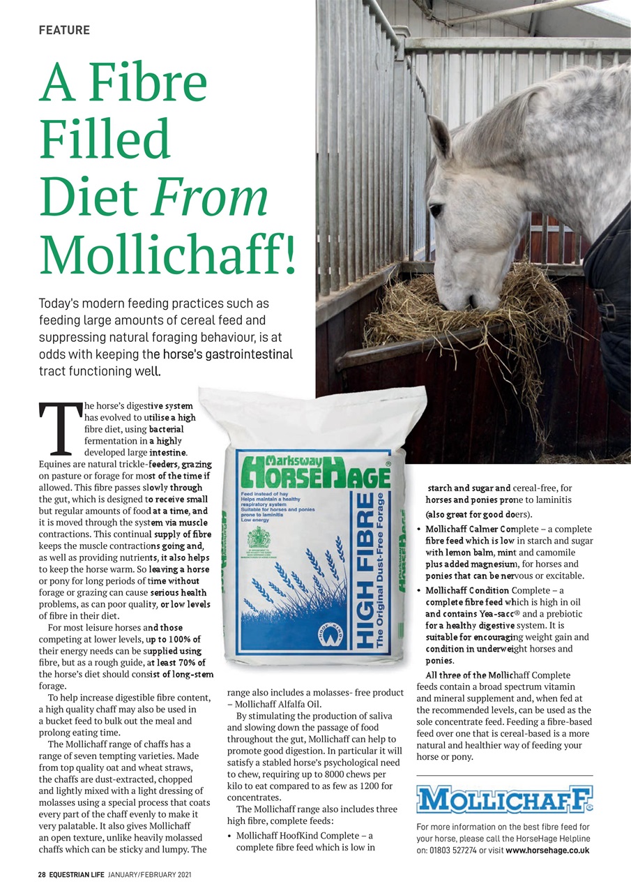 Equestrian Life Magazine Preview Pages