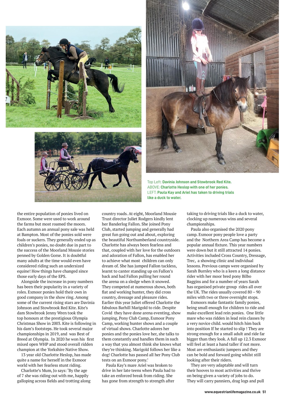 Equestrian Life Magazine Preview Pages