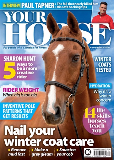 Your Horse issue 