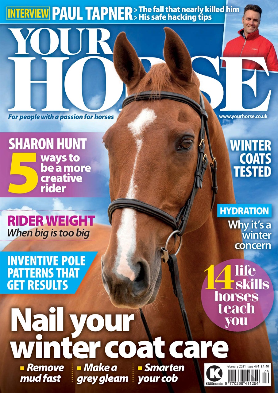 Your Horse Preview Pages
