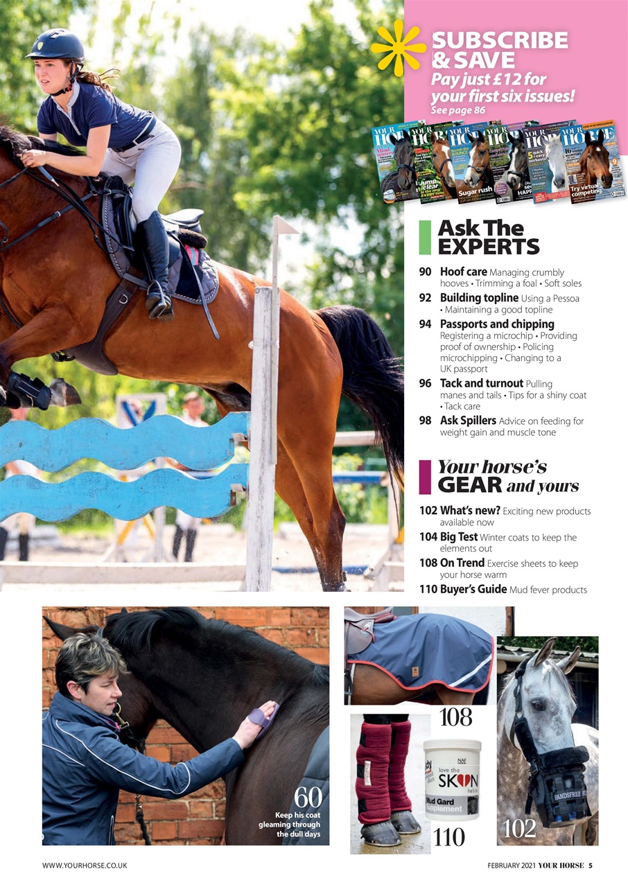 Your Horse Preview Pages