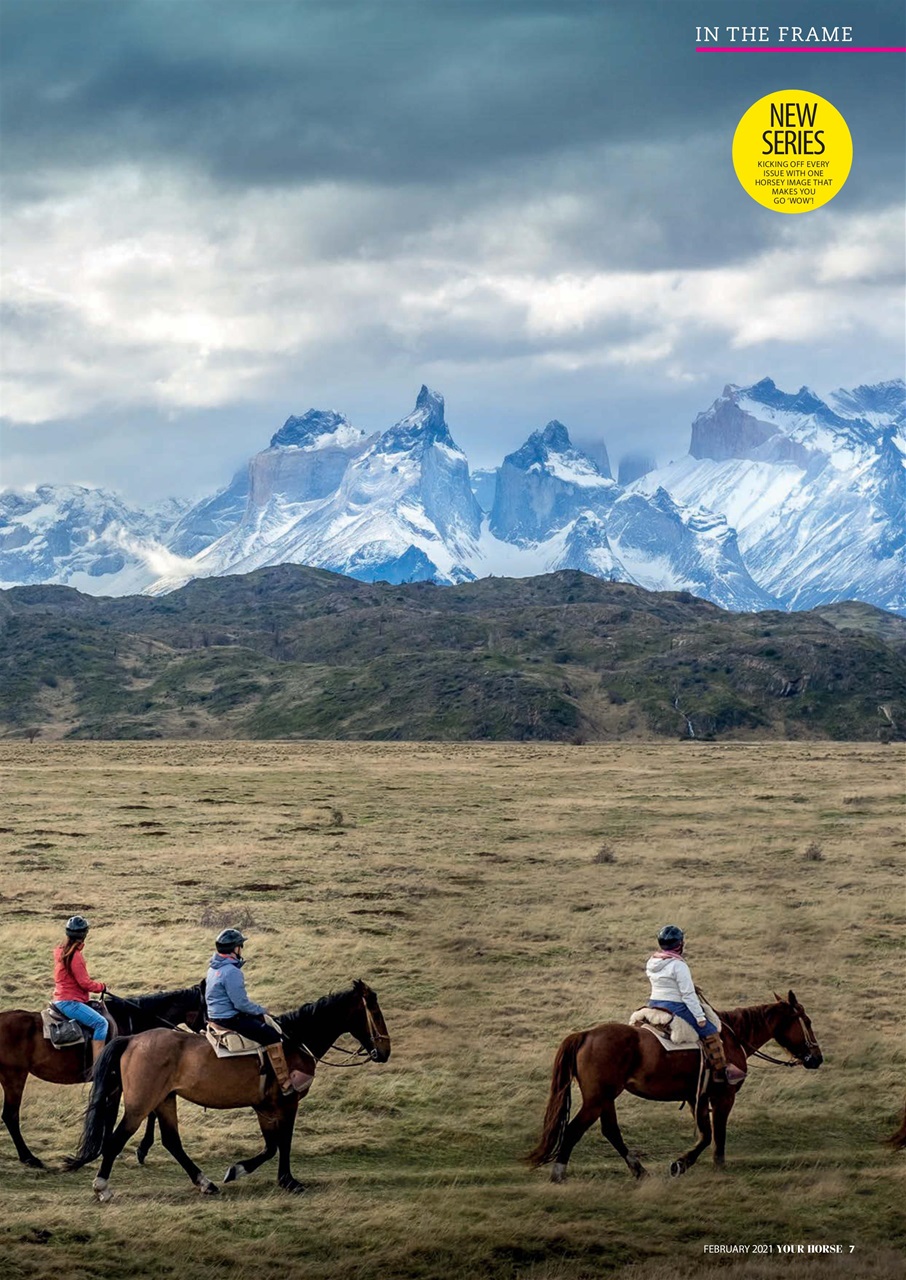 Your Horse Preview Pages