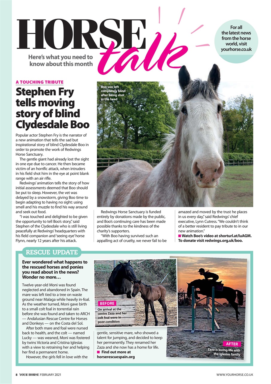 Your Horse Preview Pages