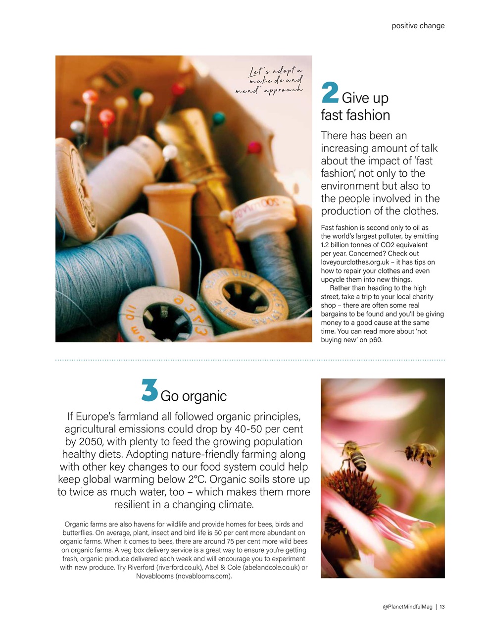 Planet Mindful Preview Pages