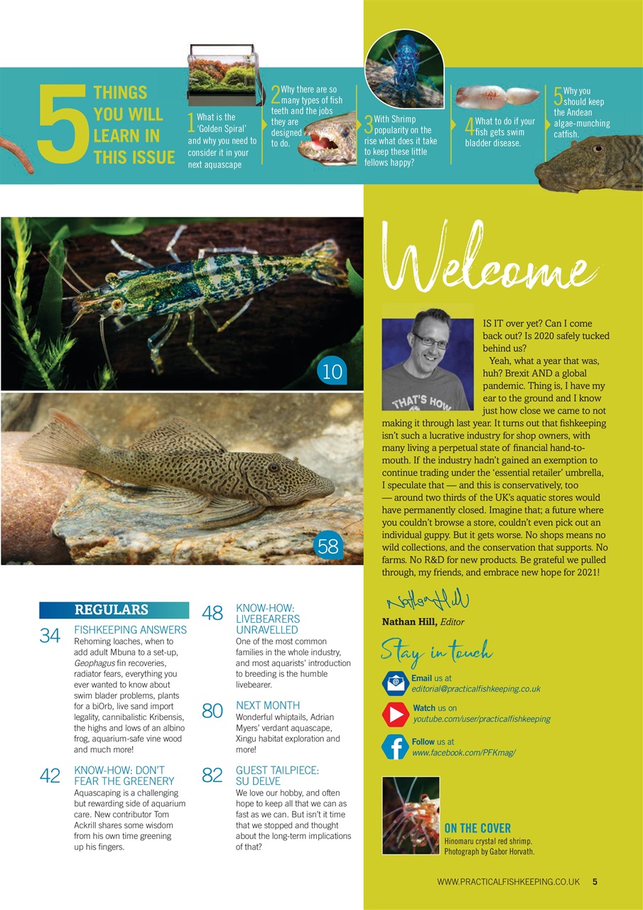 Practical Fishkeeping Preview Pages