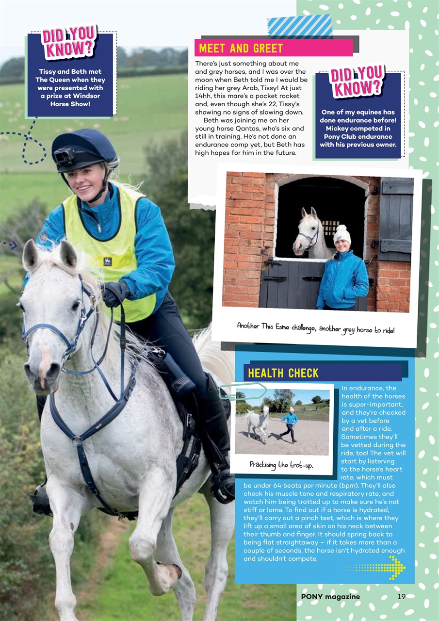 Pony Magazine Preview Pages