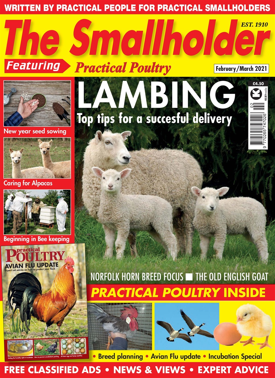 The Smallholder Preview Pages