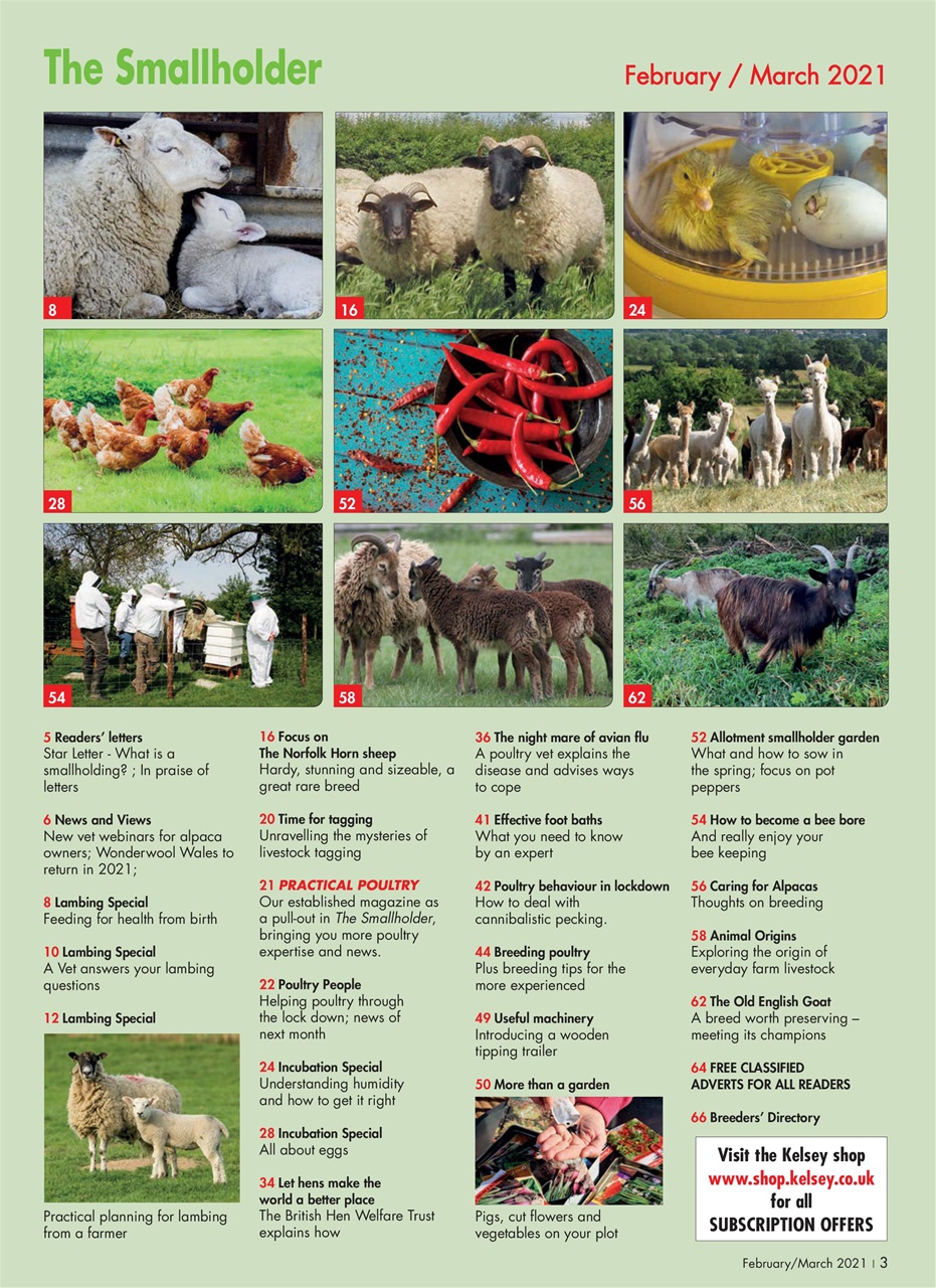 The Smallholder Preview Pages