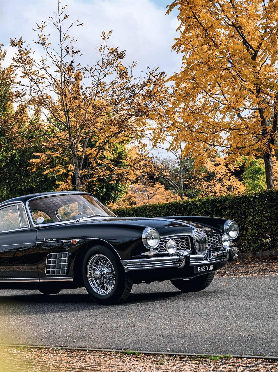 Classic & Sports Car Preview Pages