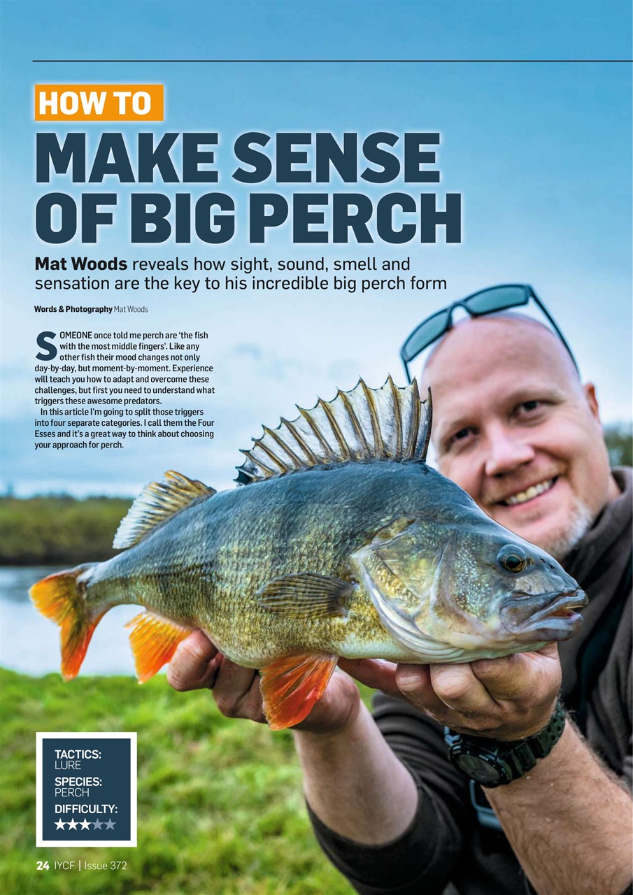 Improve Your Coarse Fishing Preview Pages