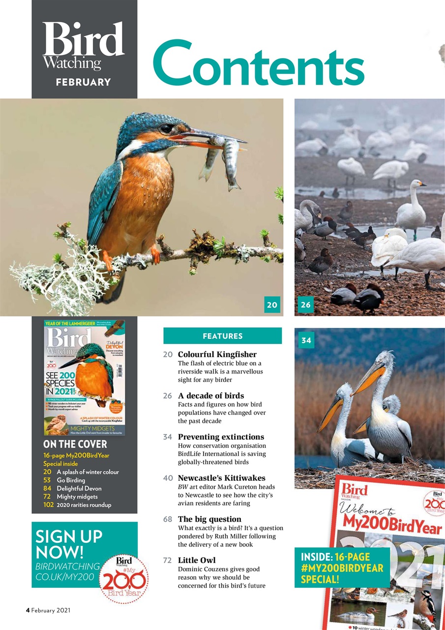 Bird Watching Preview Pages