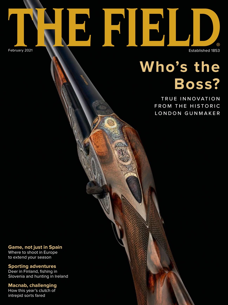 The Field Preview Pages