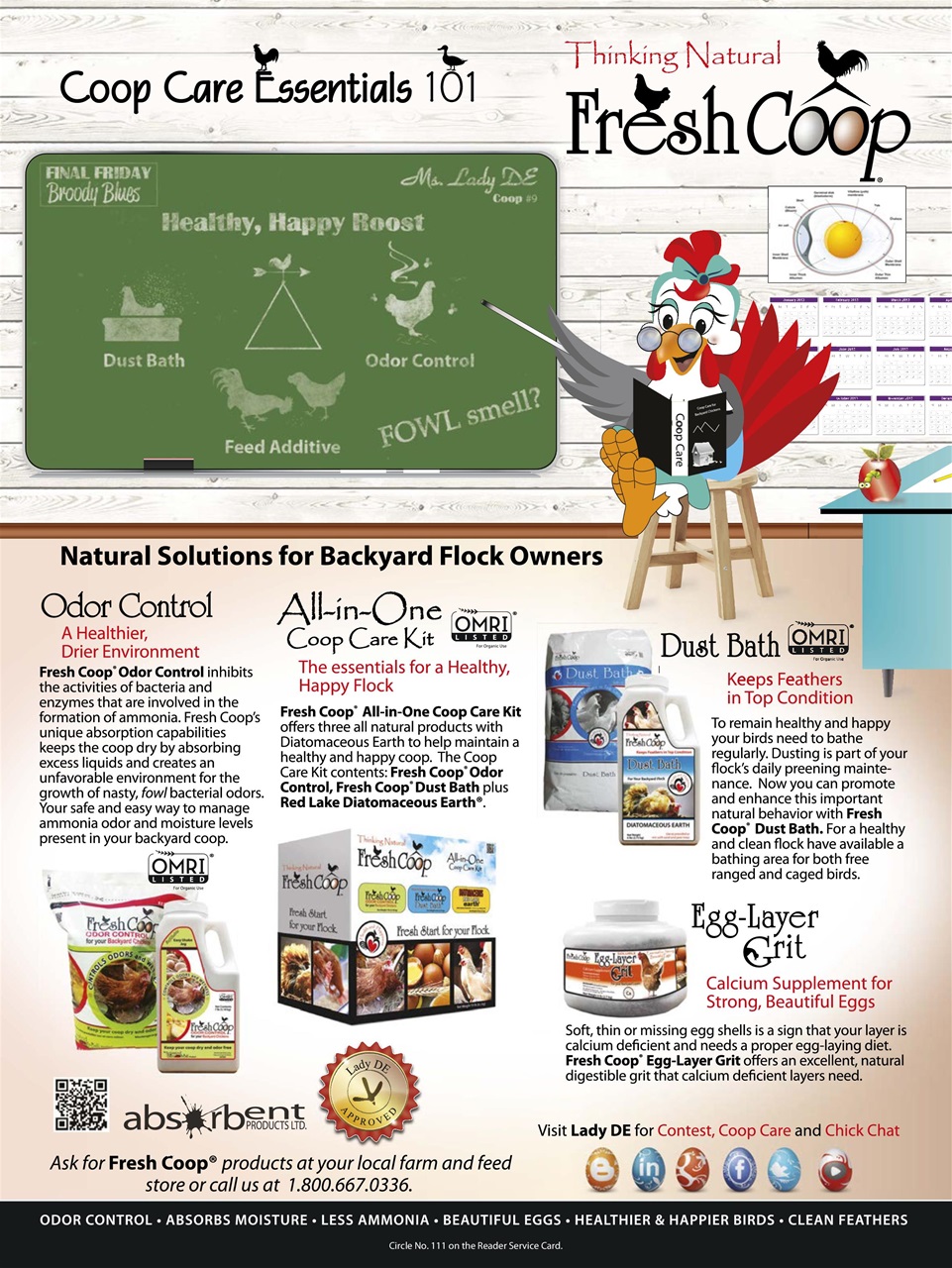 Chickens Magazine Preview Pages