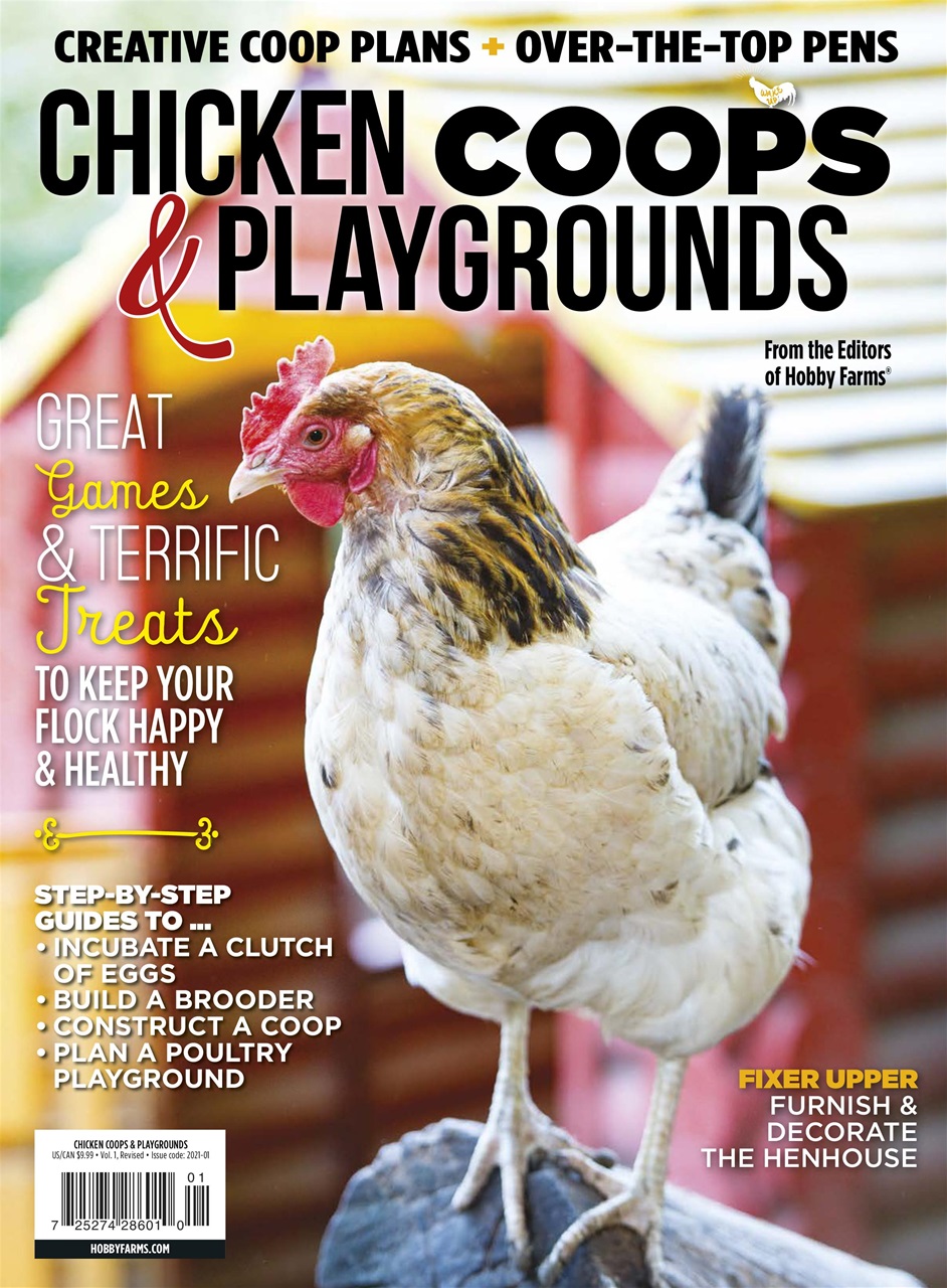 Chickens Magazine Preview Pages
