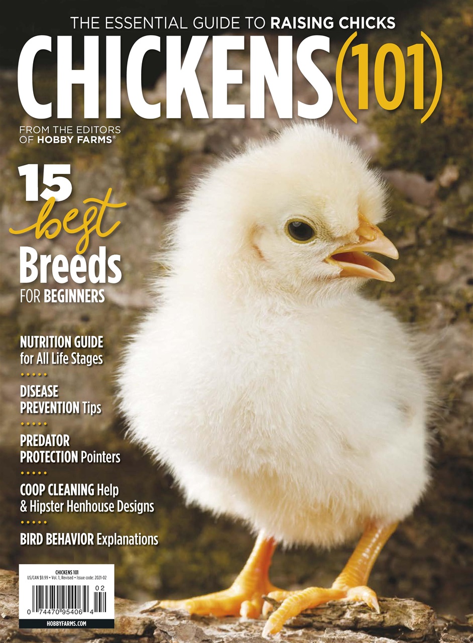 Chickens Magazine Preview Pages