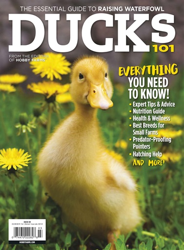 Chickens Magazine issue 