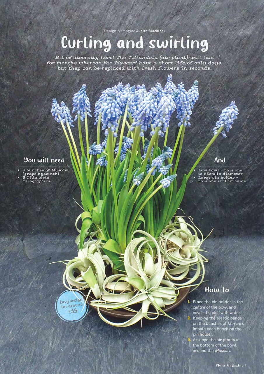 Flora International Preview Pages